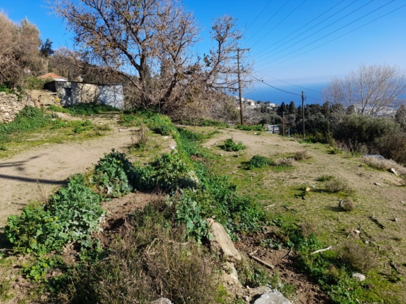 ΣΤΡΑΠΟΥΡΙΕΣ ΕΝΤΟΣ ΟΙΚΙΣΜΟΥ 1.102 Μ2 με θέα στη Χώρα Άνδρου