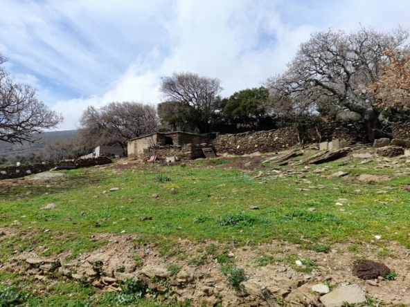 20230312_125357-Αντιγραφή