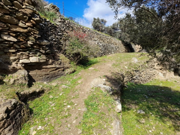 20230313_101732-Αντιγραφή