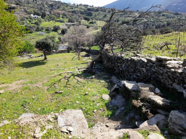 20230313_101804-Αντιγραφή
