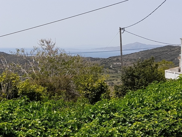 Πιτροφός ΕΝΤΟΣ ΟΙΚΙΣΜΟΥ. Οικόπεδο εμβαδού 440 m2. Κτίζει έως 240 m2 κτίρια.