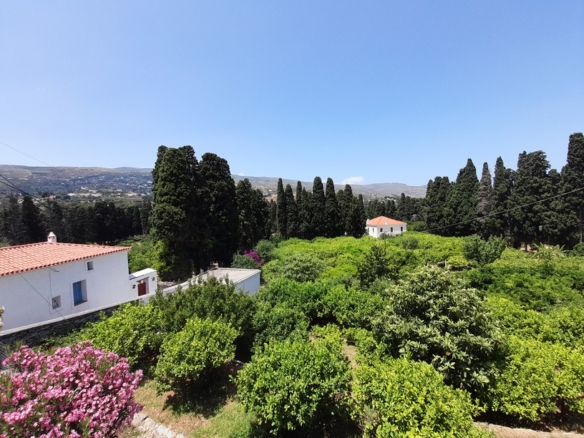 Χώρα Άνδρου-Λιβάδια. Μονοκατοικία 225 m2 σε περιβόλι 4.188 m2 με νερό.