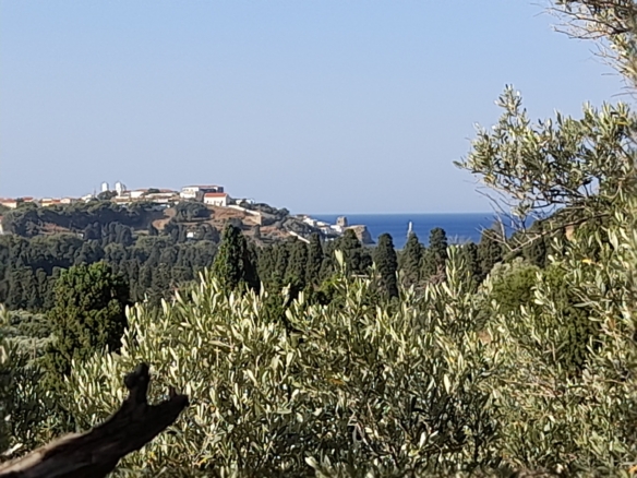 Χώρα Άνδρου-Λιβάδια. Μονοκατοικία 225 m2 σε περιβόλι 4.188 m2 με νερό.