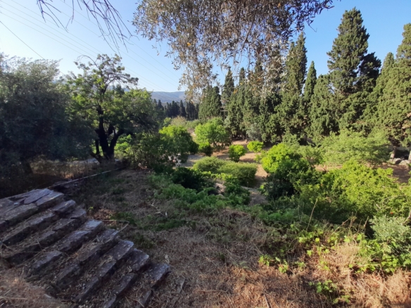 Χώρα Άνδρου-Λιβάδια. Μονοκατοικία 225 m2 σε περιβόλι 4.188 m2 με νερό.