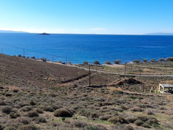 Γαύριο-Λιόπεσι. Τα καλύτερα 24.890 τ.μ. που φθάνουν μέχρι τη θάλασσα.