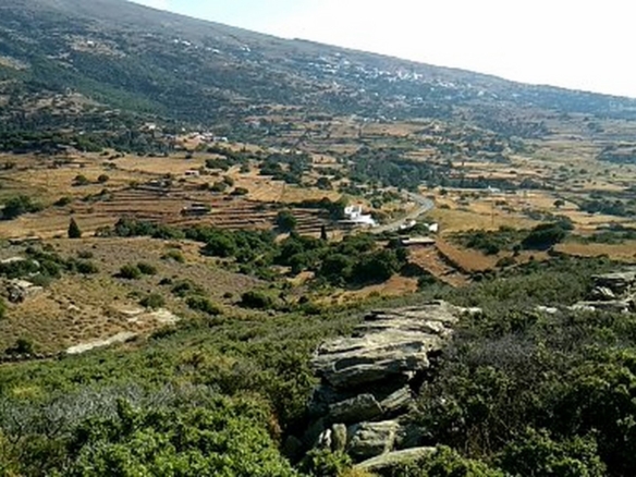 Σταυροπέδα. 9.000 τ.μ. με κελί 22 τ.μ.