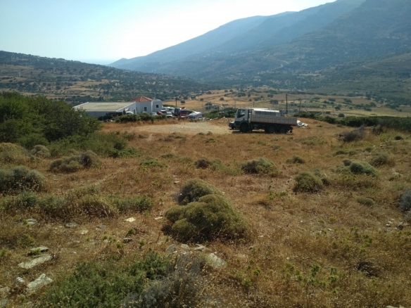 Σταυροπέδα. 9.000 τ.μ. με κελί 22 τ.μ.