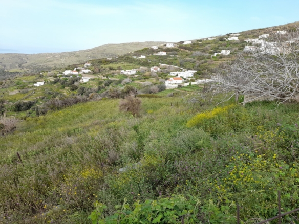 Buildable Plot 1954 sq.m with irrigation water and Panoramic Sea View in Ano Pitrofos!
