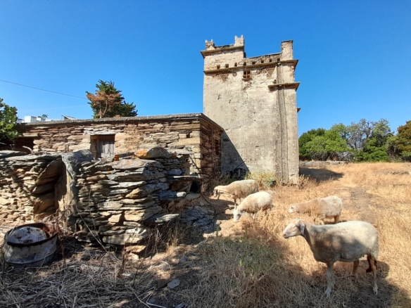 Messaria-Aladino, 5.158 sq.m with stone building 76.80 sq.m, 38 olive trees, threshing floor and dovecote