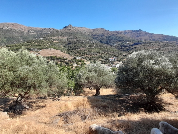 Messaria-Aladino, 5.158 sq.m with stone building 76.80 sq.m, 38 olive trees, threshing floor and dovecote