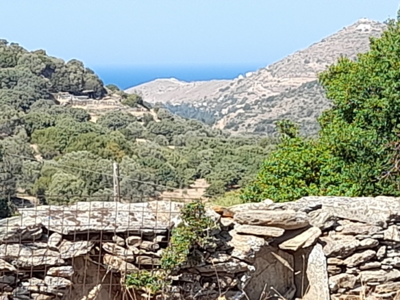Messaria-Aladino, 5.158 sq.m with stone building 76.80 sq.m, 38 olive trees, threshing floor and dovecote