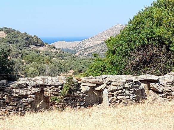 Messaria-Aladino, 5.158 sq.m with stone building 76.80 sq.m, 38 olive trees, threshing floor and dovecote