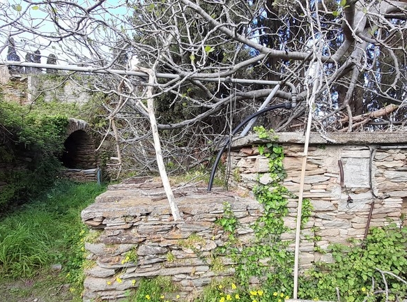 ΛΑΜΥΡΑ. Κτήμα 5.903,49 τ.μ. με παλιό αρχοντικό 367,49 τ.μ., γεώτρηση, ελιές, κλπ