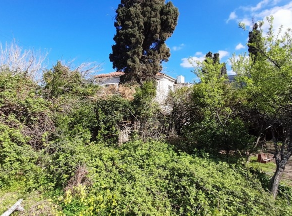 ΛΑΜΥΡΑ. Κτήμα 5.903,49 τ.μ. με παλιό αρχοντικό 367,49 τ.μ., γεώτρηση, ελιές, κλπ