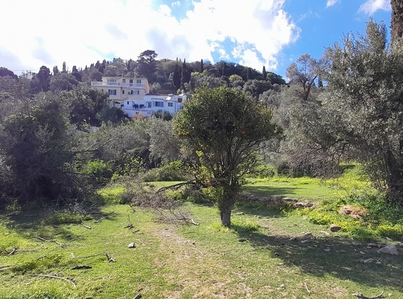 ΛΑΜΥΡΑ. Κτήμα 5.903,49 τ.μ. με παλιό αρχοντικό 367,49 τ.μ., γεώτρηση, ελιές, κλπ