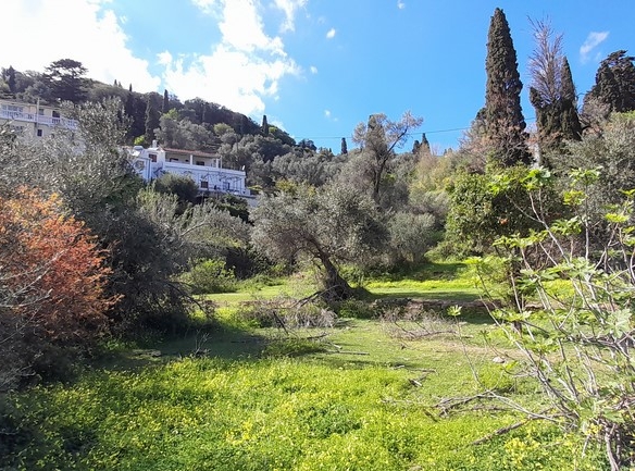 ΛΑΜΥΡΑ. Κτήμα 5.903,49 τ.μ. με παλιό αρχοντικό 367,49 τ.μ., γεώτρηση, ελιές, κλπ