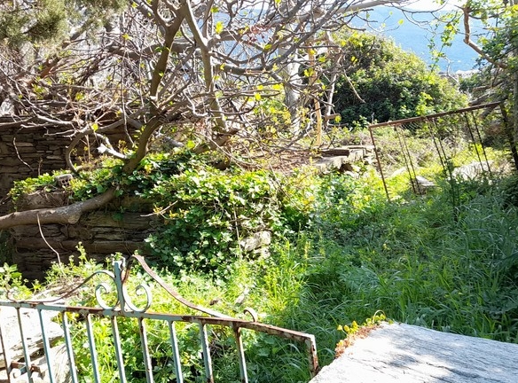 ΛΑΜΥΡΑ. Κτήμα 5.903,49 τ.μ. με παλιό αρχοντικό 367,49 τ.μ., γεώτρηση, ελιές, κλπ