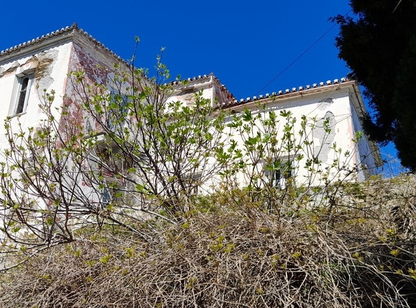 ΛΑΜΥΡΑ. Κτήμα 5.903,49 τ.μ. με παλιό αρχοντικό 367,49 τ.μ., γεώτρηση, ελιές, κλπ
