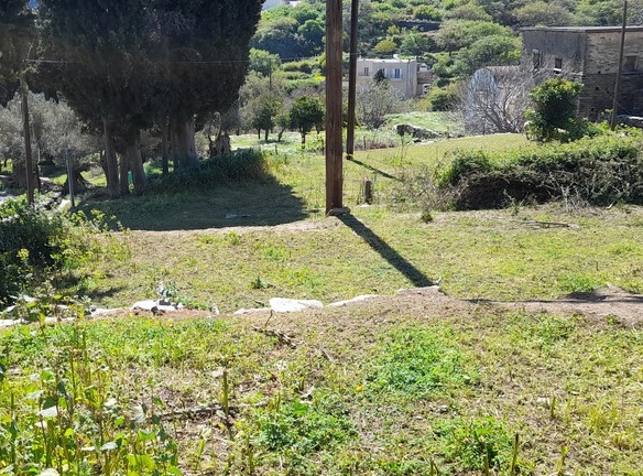 ΛΑΜΥΡΑ. Κτήμα 5.903,49 τ.μ. με παλιό αρχοντικό 367,49 τ.μ., γεώτρηση, ελιές, κλπ