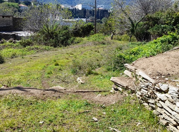 ΛΑΜΥΡΑ. Κτήμα 5.903,49 τ.μ. με παλιό αρχοντικό 367,49 τ.μ., γεώτρηση, ελιές, κλπ