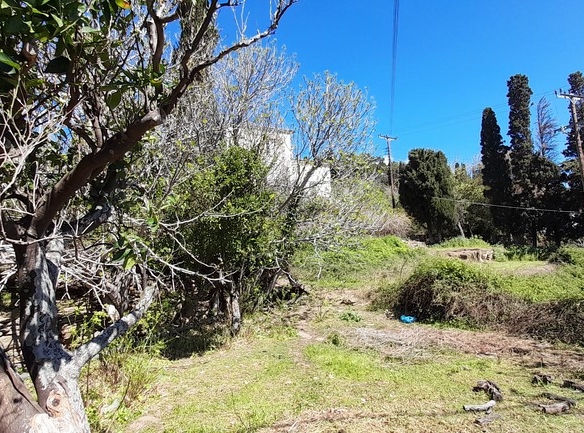 ΛΑΜΥΡΑ. Κτήμα 5.903,49 τ.μ. με παλιό αρχοντικό 367,49 τ.μ., γεώτρηση, ελιές, κλπ