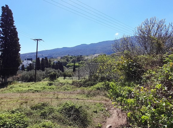 ΛΑΜΥΡΑ. Κτήμα 5.903,49 τ.μ. με παλιό αρχοντικό 367,49 τ.μ., γεώτρηση, ελιές, κλπ