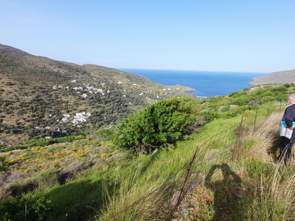 Κόρθι. Όρμος Κορθίου. Αγροτεμάχιο 4.520 τ.μ. με ωραία θέα στη θάλασσα και στον Όρμο.