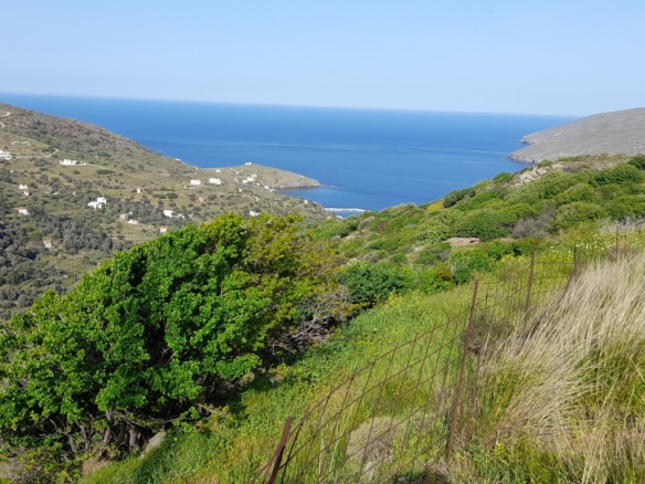 Κόρθι. Όρμος Κορθίου. Αγροτεμάχιο 4.520 τ.μ. με ωραία θέα στη θάλασσα και στον Όρμο.