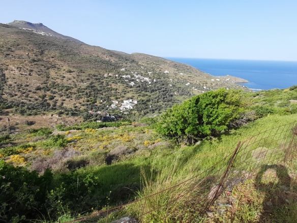 Κόρθι. Όρμος Κορθίου. Αγροτεμάχιο 4.520 τ.μ. με ωραία θέα στη θάλασσα και στον Όρμο.