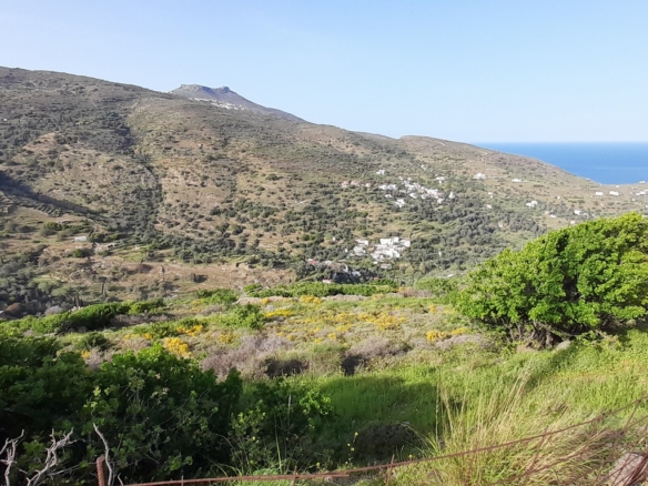 Κόρθι. Όρμος Κορθίου. Αγροτεμάχιο 4.520 τ.μ. με ωραία θέα στη θάλασσα και στον Όρμο.