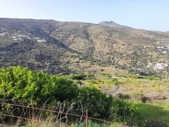 Κόρθι. Όρμος Κορθίου. Αγροτεμάχιο 4.520 τ.μ. με ωραία θέα στη θάλασσα και στον Όρμο.