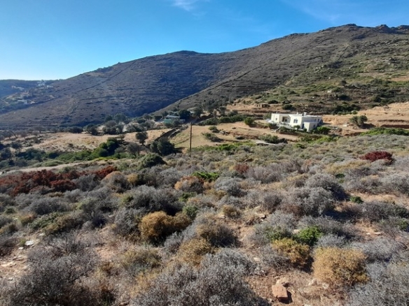 Γαύριο-Κυπρί. 16.600 m2 με 94 m2 παλιό κτίσμα με καταπληκτική θέα και αλώνι.