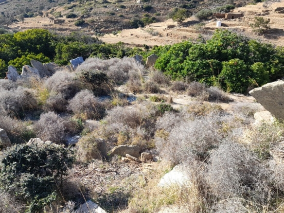 Γαύριο-Κυπρί. 16.600 m2 με 94 m2 παλιό κτίσμα με καταπληκτική θέα και αλώνι.
