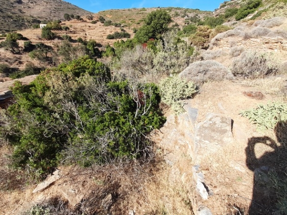 Γαύριο-Κυπρί. 16.600 m2 με 94 m2 παλιό κτίσμα με καταπληκτική θέα και αλώνι.