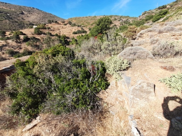 Γαύριο-Κυπρί. 16.600 m2 με 94 m2 παλιό κτίσμα με καταπληκτική θέα και αλώνι.