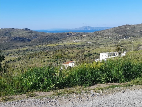 Buildable Plot 1954 sq.m with irrigation water and Panoramic Sea View in Ano Pitrofos!