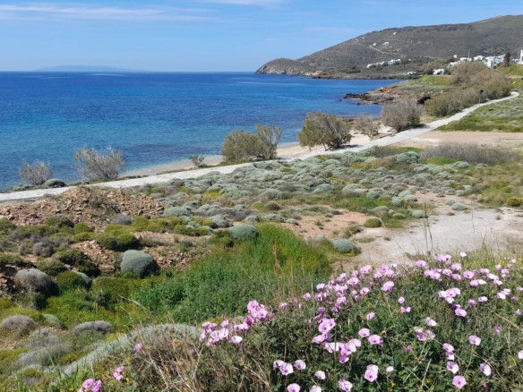 Γαύριο-Λιόπεσι. Τα καλύτερα 24.890 τ.μ. που φθάνουν μέχρι τη θάλασσα.