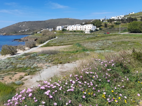 Γαύριο-Λιόπεσι. Τα καλύτερα 24.890 τ.μ. που φθάνουν μέχρι τη θάλασσα.