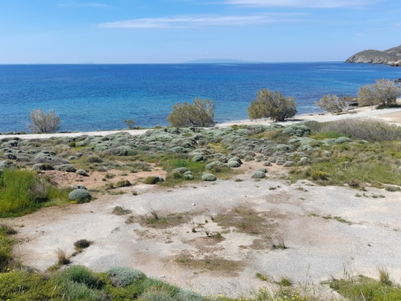 Γαύριο-Λιόπεσι. Τα καλύτερα 24.890 τ.μ. που φθάνουν μέχρι τη θάλασσα.