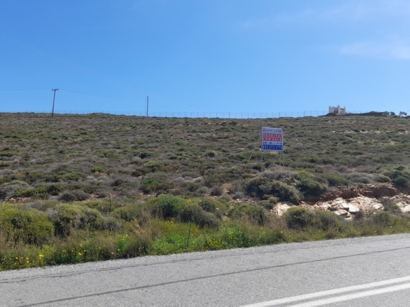 Γαύριο-Λιόπεσι. Τα καλύτερα 24.890 τ.μ. που φθάνουν μέχρι τη θάλασσα.