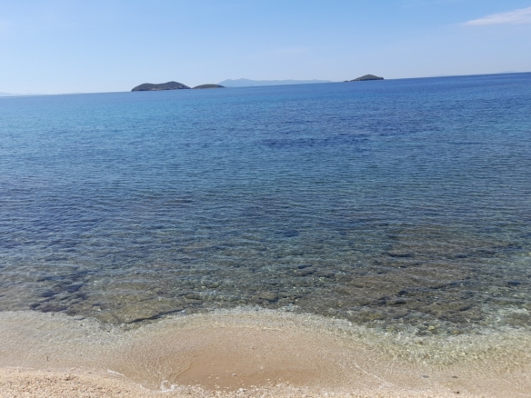 Γαύριο-Λιόπεσι. Τα καλύτερα 24.890 τ.μ. που φθάνουν μέχρι τη θάλασσα.