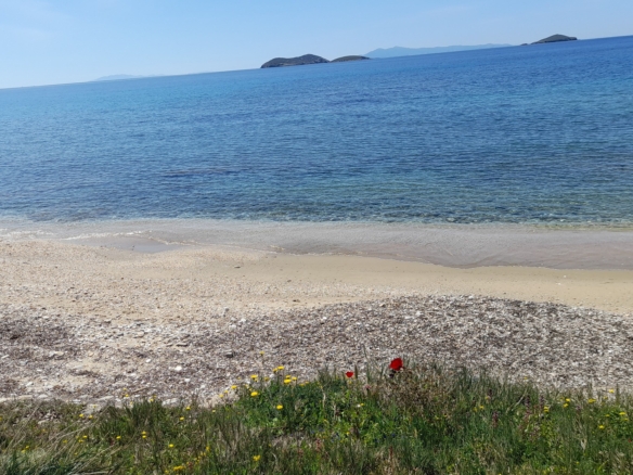 Γαύριο-Λιόπεσι. Τα καλύτερα 24.890 τ.μ. που φθάνουν μέχρι τη θάλασσα.