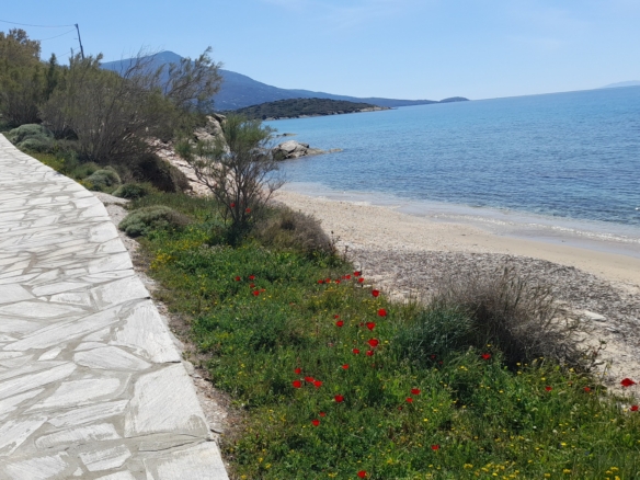 Γαύριο-Λιόπεσι. Τα καλύτερα 24.890 τ.μ. που φθάνουν μέχρι τη θάλασσα.