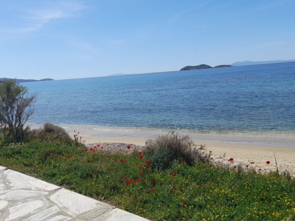 Γαύριο-Λιόπεσι. Τα καλύτερα 24.890 τ.μ. που φθάνουν μέχρι τη θάλασσα.