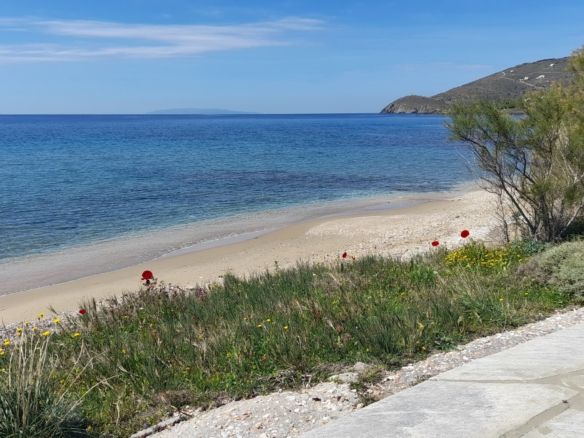 Γαύριο-Λιόπεσι. Τα καλύτερα 24.890 τ.μ. που φθάνουν μέχρι τη θάλασσα.