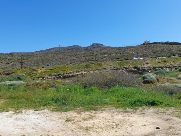 Γαύριο-Λιόπεσι. Τα καλύτερα 24.890 τ.μ. που φθάνουν μέχρι τη θάλασσα.