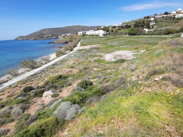 Γαύριο-Λιόπεσι. Τα καλύτερα 24.890 τ.μ. που φθάνουν μέχρι τη θάλασσα.