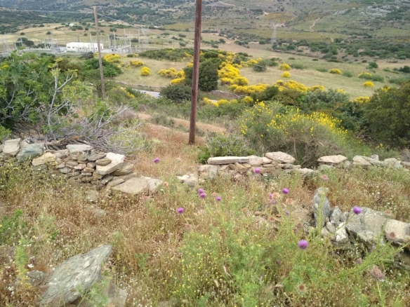 Σταυροπέδα. 9.000 τ.μ. με κελί 22 τ.μ.