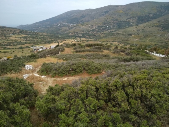Σταυροπέδα. 9.000 τ.μ. με κελί 22 τ.μ.