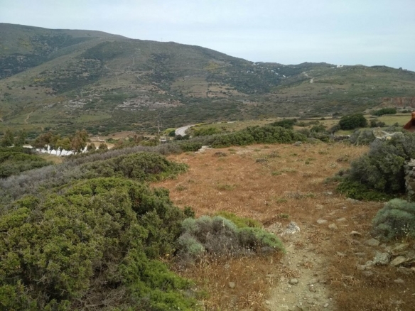 Σταυροπέδα. 9.000 τ.μ. με κελί 22 τ.μ.
